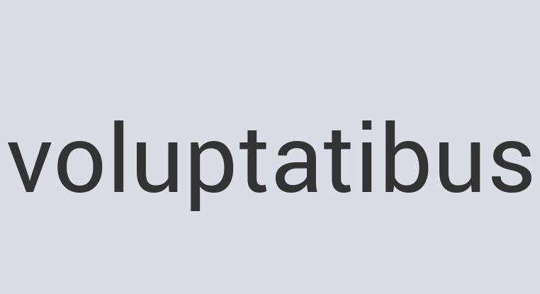 Mediocre Granite Soldier’s Neckbrace