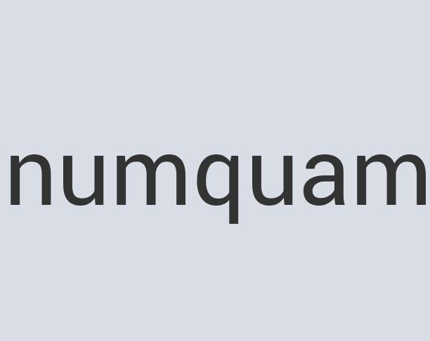 Rustic Wool Local Globe